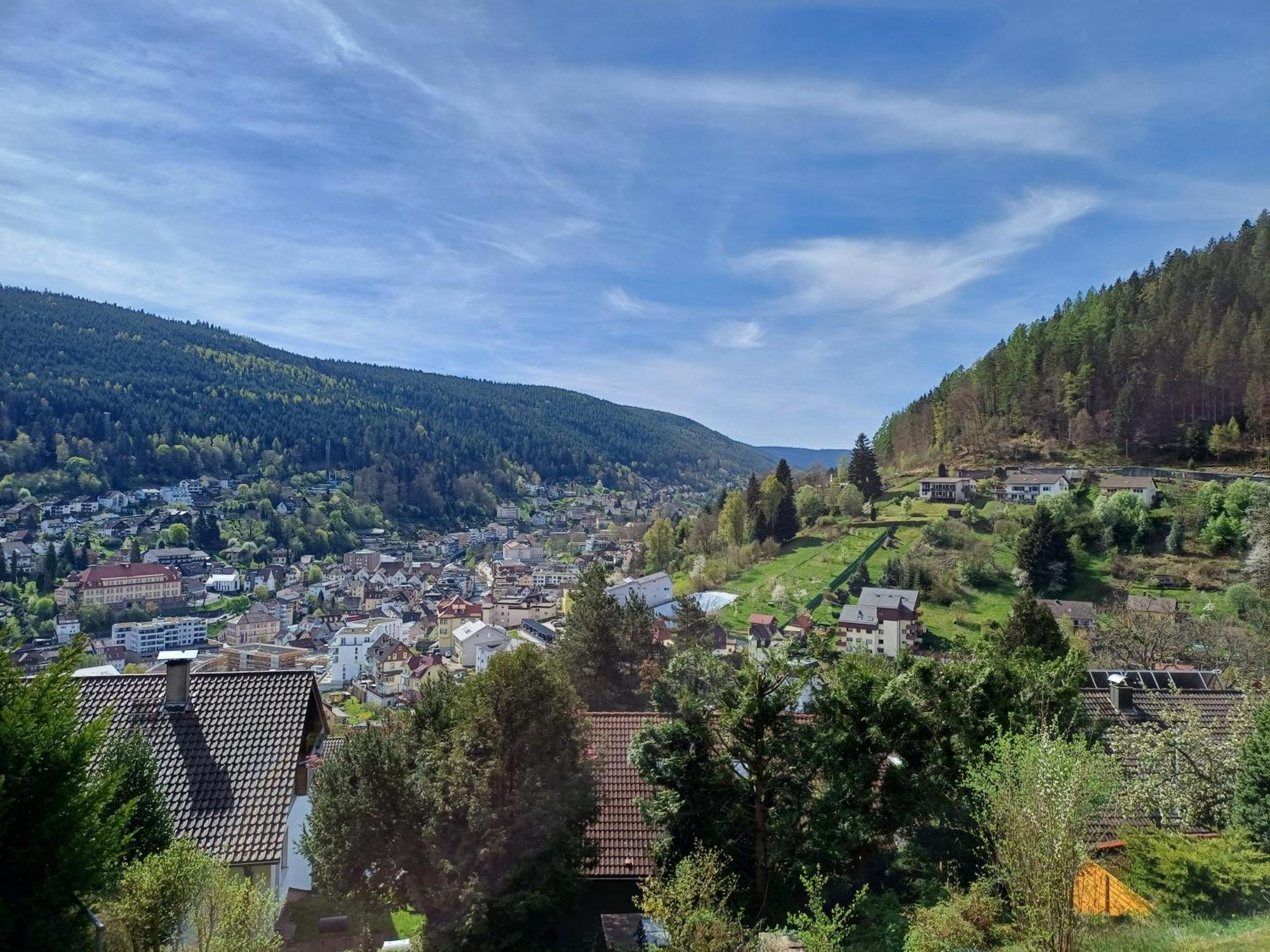 Ferienwohnung Panoramablick Bad Wildbad Luaran gambar