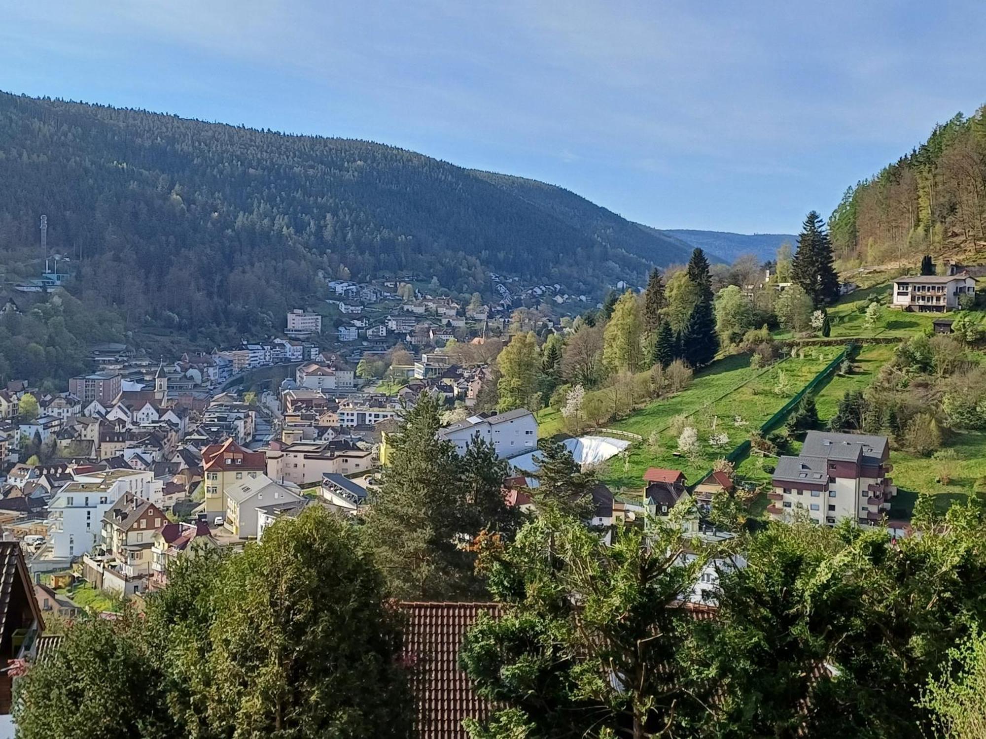 Ferienwohnung Panoramablick Bad Wildbad Luaran gambar